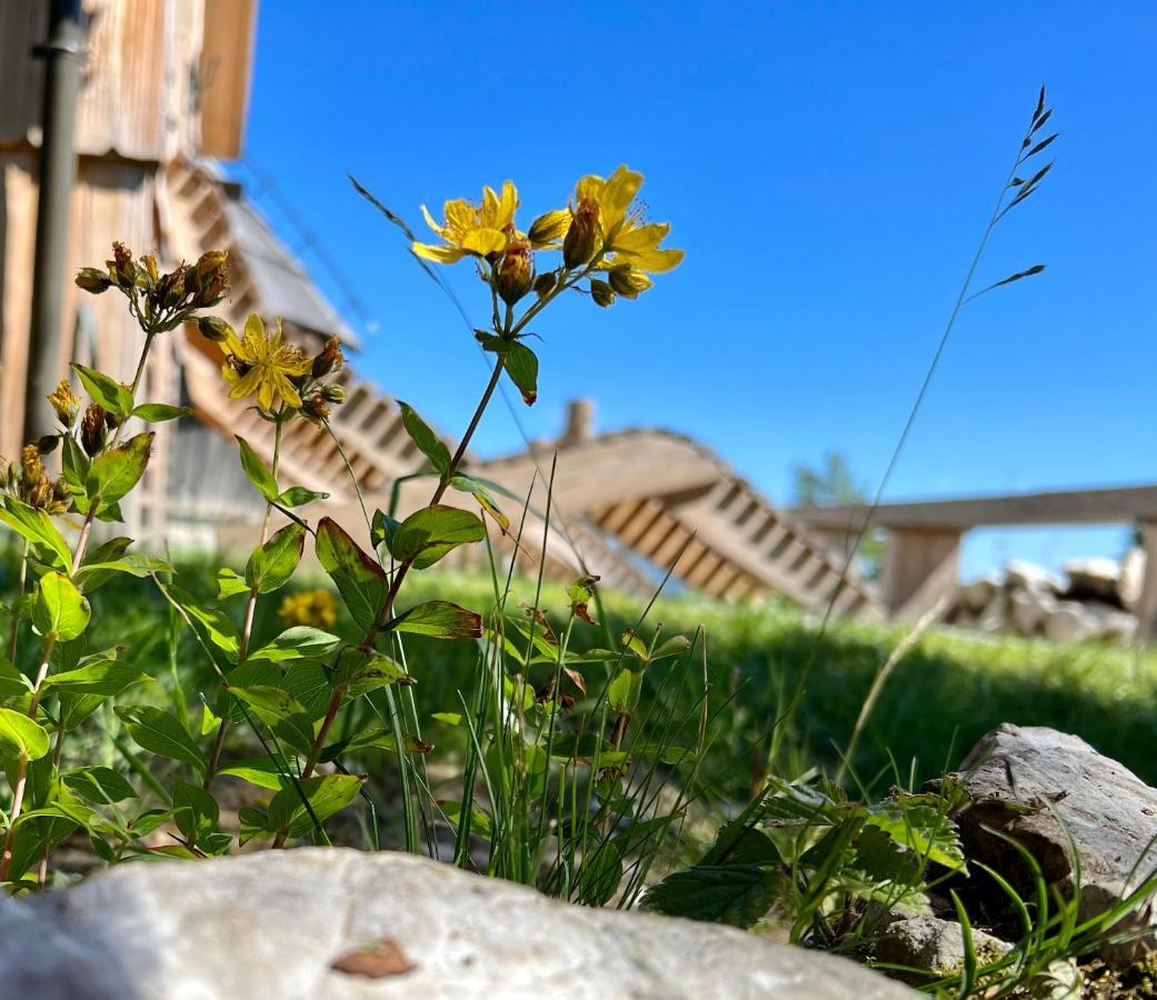 Chalet Velika Planina - I Feel Alps Stahovica Екстериор снимка