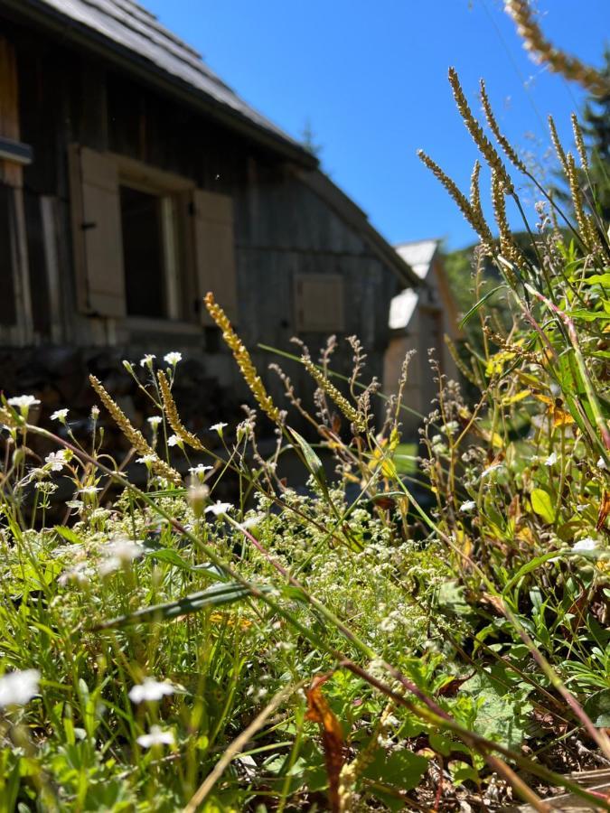 Chalet Velika Planina - I Feel Alps Stahovica Екстериор снимка