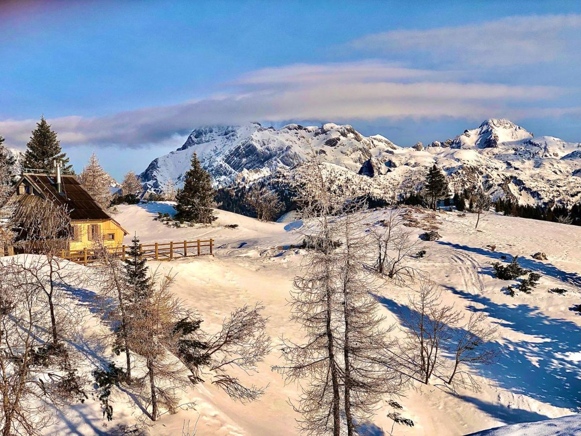 Chalet Velika Planina - I Feel Alps Stahovica Екстериор снимка